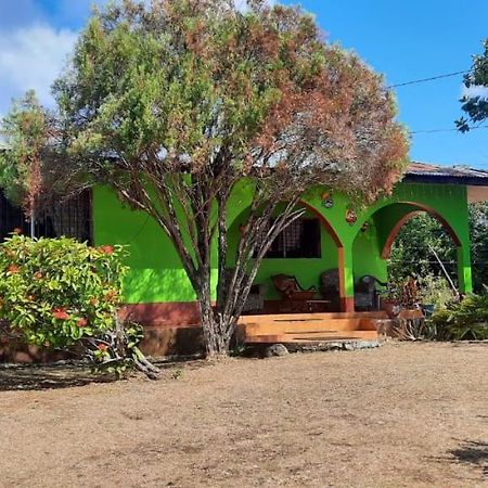 Hospedaje Tropical Dreams South End Extérieur photo