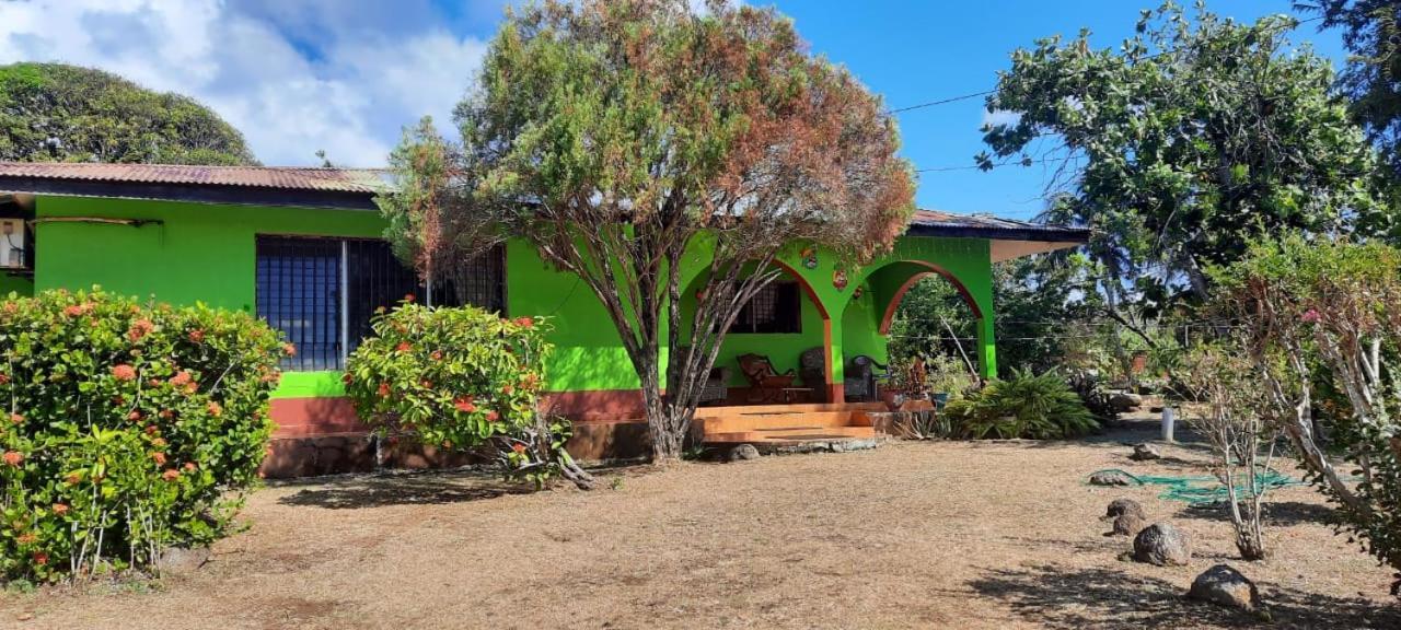 Hospedaje Tropical Dreams South End Extérieur photo
