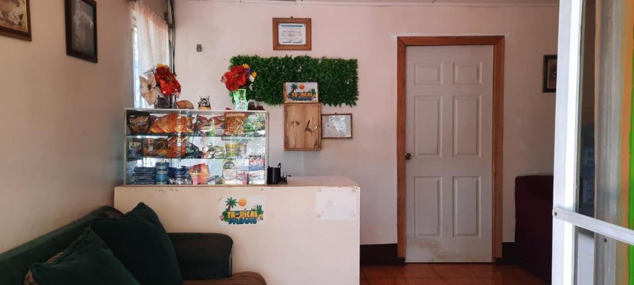 Hospedaje Tropical Dreams South End Extérieur photo